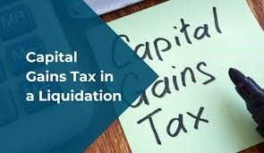 Read more about the article Understanding Capital Gains on Distribution of Assets by Companies in Liquidation: A Comprehensive Guide to Section 46 of the Income Tax Act