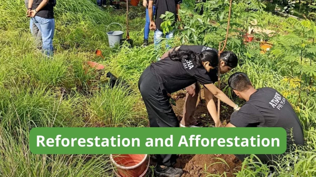 Read more about the article Understanding Section 35CCB of the Income Tax Act: A Guide to Conservation of Natural Resources and Afforestation Deductions