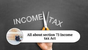 Read more about the article Understanding Section 73 of the Income Tax Act: Set-Off and Carry Forward of Losses in Speculation Business