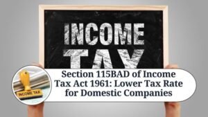 Read more about the article Understanding Section 115BAD of the Income Tax Act: Tax on Income of Certain Resident Co-operative Societies