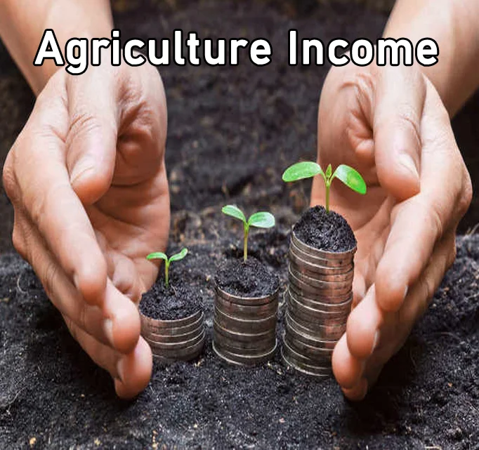 Read more about the article Understanding Agricultural Income Under Section 2(1A) of the Income Tax Act